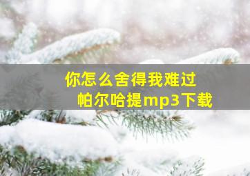 你怎么舍得我难过 帕尔哈提mp3下载